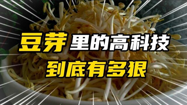 您知道我们常吃的豆芽,里面的高科技有多狠吗?2分钟颠覆你的认知