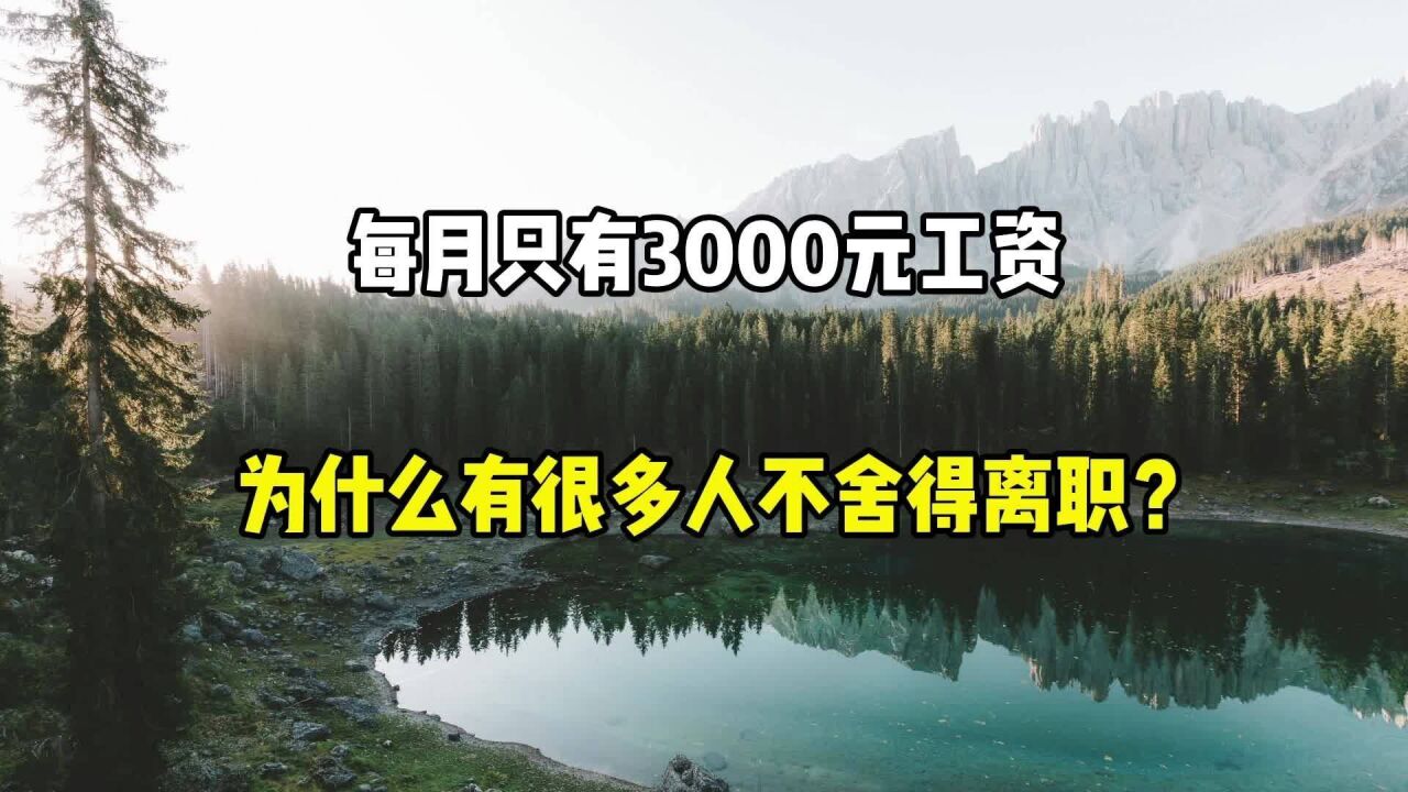 每月只有3000元工资,为什么还有很多人不舍得辞职?