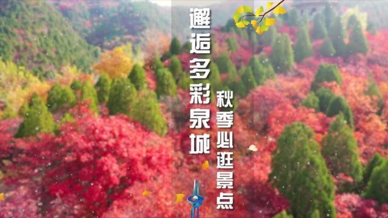 山东省济南市,济南秋季必去的三个景点