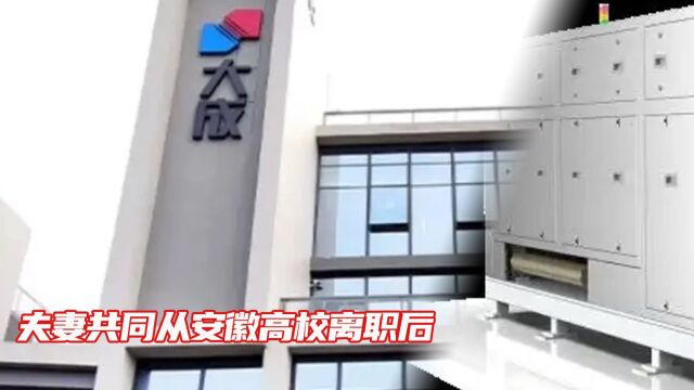 夫妻共同从安徽高校离职后,搞出一个上市公司?但背后隐患多