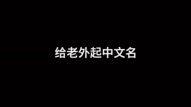 快来给取个有内涵的名字