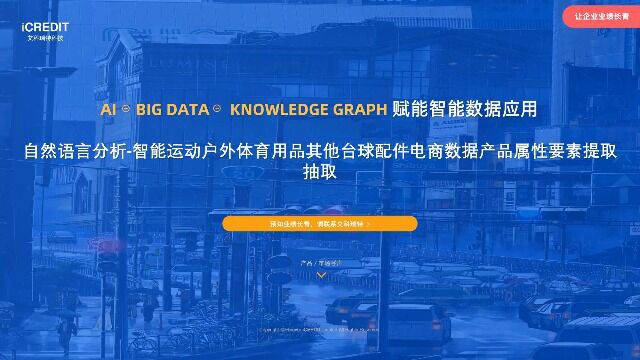 自然语言分析智能运动户外体育用品其他台球配件电商数据产品属性要素提取抽取艾科瑞特科技(iCREDIT)