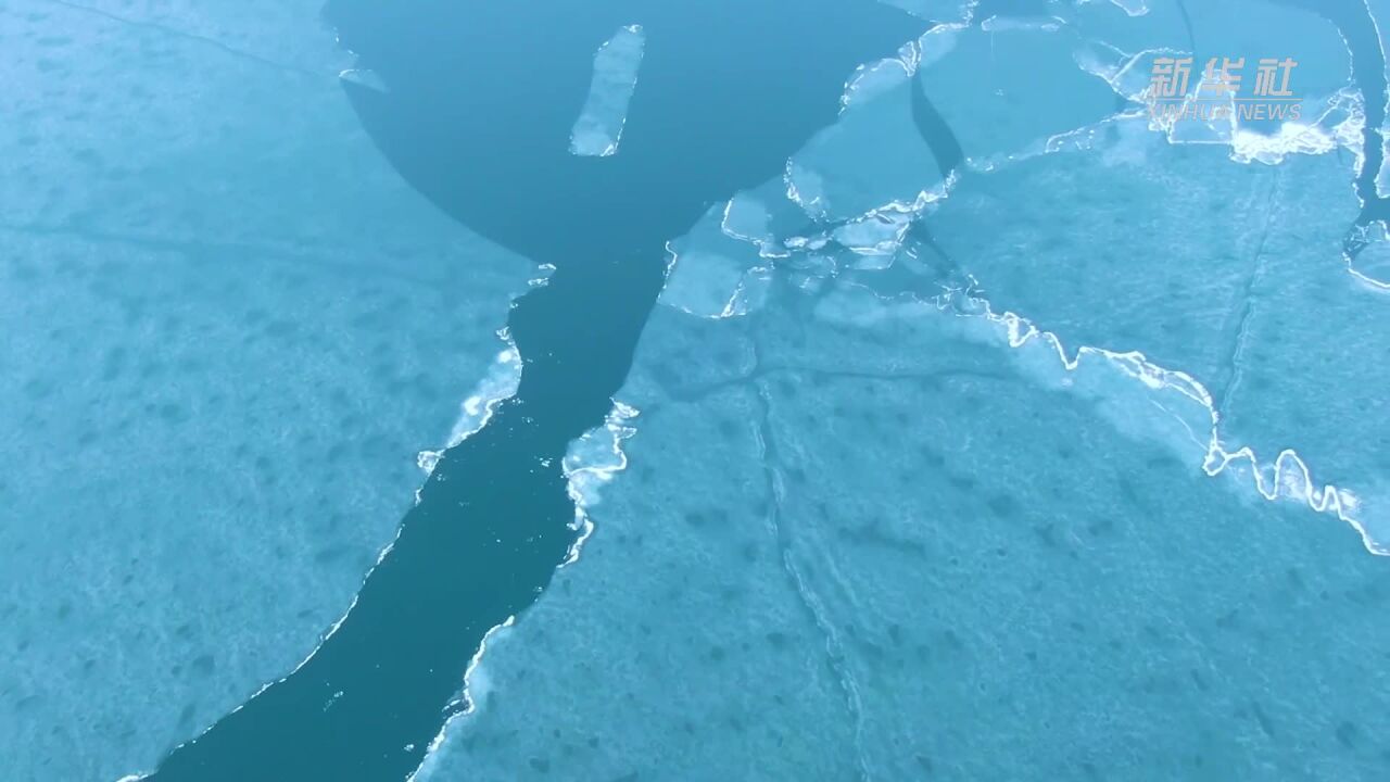 湿地之美|青海湖湿地