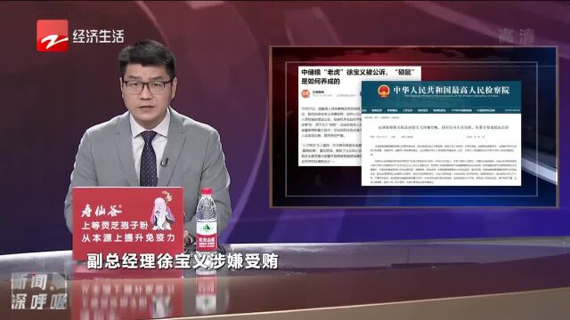 中储粮“老虎”徐宝义被公诉