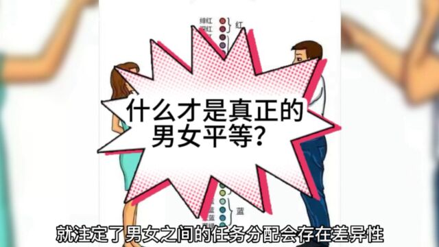 什么才是真正的男女平等