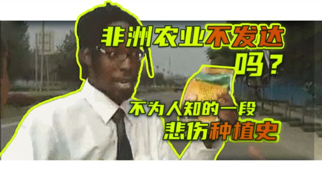 “非洲农业不发达”背后的历史秘辛【茼蒿会】