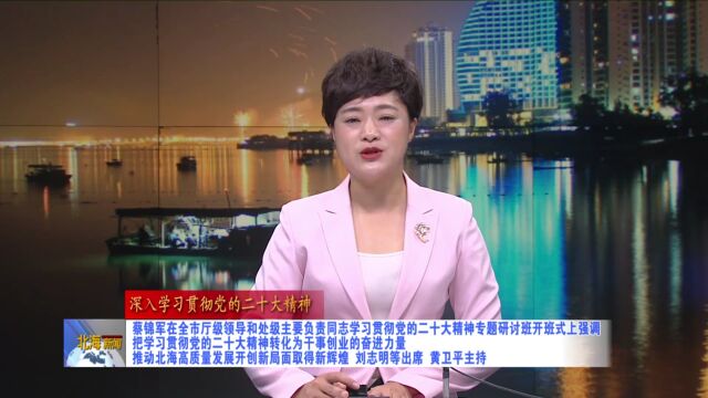 北海市厅级领导和处级主要负责同志学习贯彻党的二十大精神专题研讨班开班