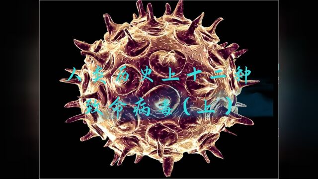 盘点历史上十二种致命病毒(上)