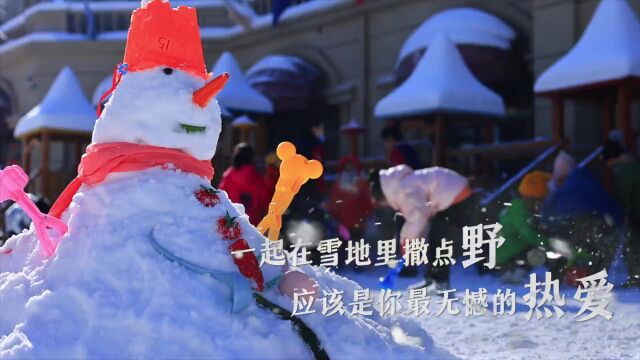 河北发出冰雪邀约!2022中国(河北)国际冰雪产业发展大会开幕