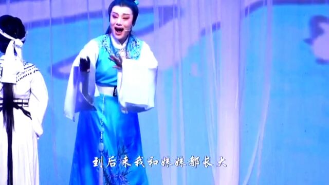 字幕/越剧《宝玉哭灵》徐丽 周雅梦