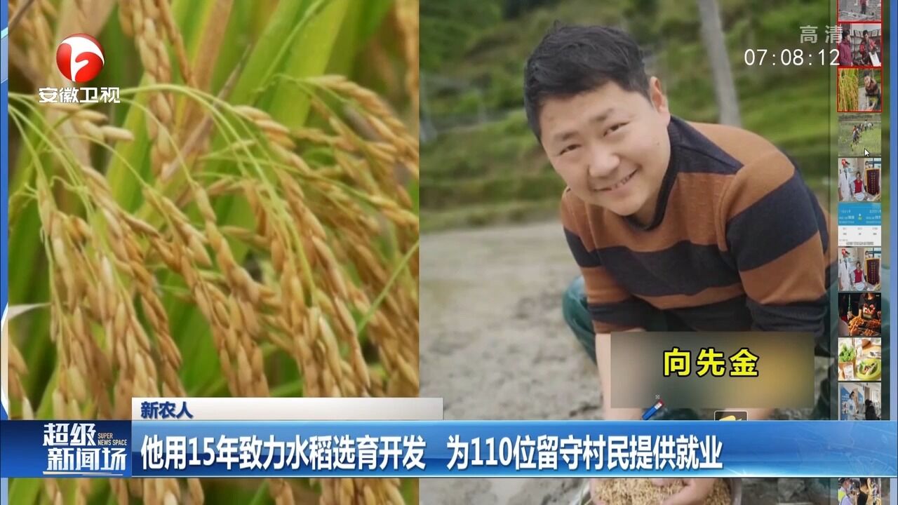 湖南:他15年致力水稻选育开发,为百位留守村民提供就业