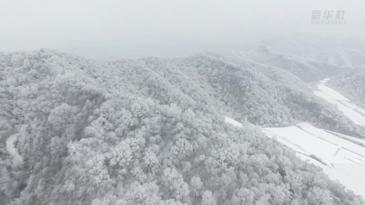 雪落秦岭 美景如画