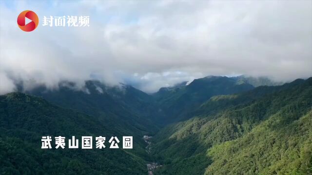 生物多样性之美|武夷山国家公园:推进生物资源本底调查,已发现12个新物种