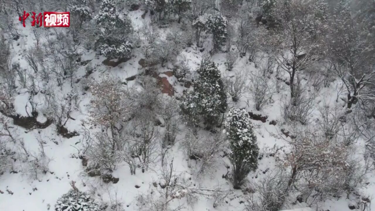 山西临汾:雪后兴唐寺银装素裹