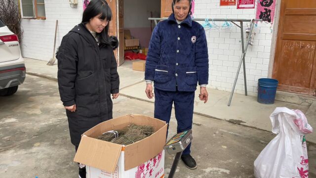 网店生意越来越好,大伯送来两种土特产,纯正的土货又不够卖