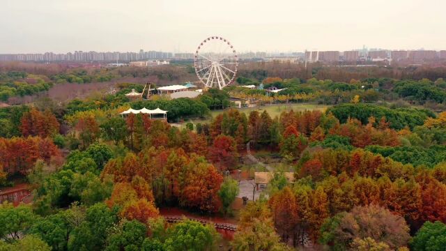 宝山这里风景如画,等你来打卡!