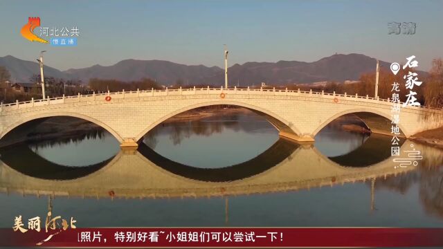 美丽河北丨石家庄龙泉湖湿地公园