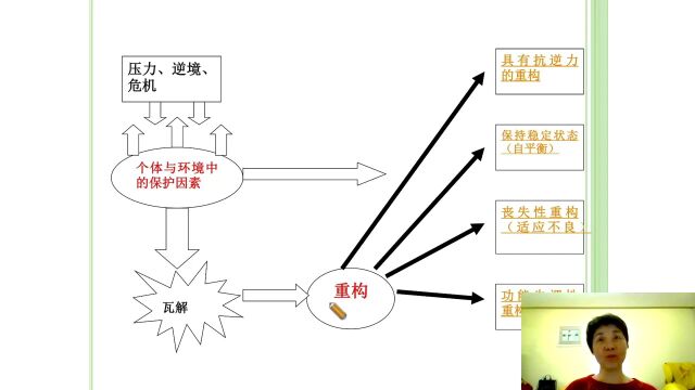 家庭家教家风|家庭教育指导推动家长素养提升 家校社协同齐心协力育人