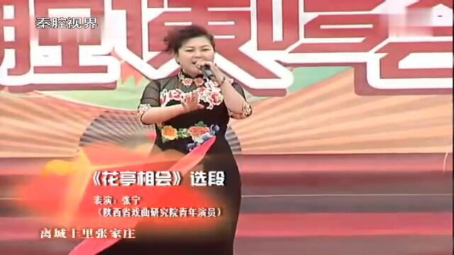 秦腔《花亭相会》选段,陕西省戏曲研究院国家一级演员张宁演唱