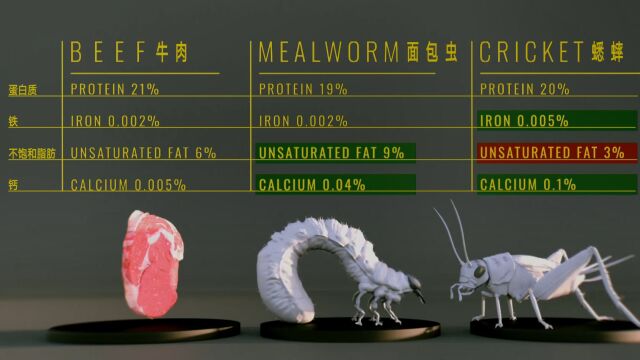 科学家为何会对食用昆虫如此着迷?营养价值堪比牛排的竞争者!