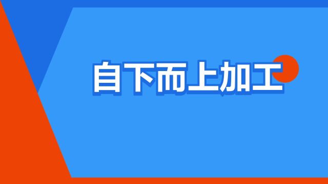 “自下而上加工”是什么意思?