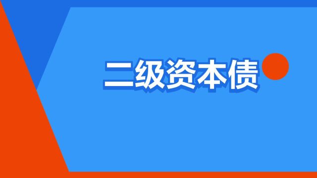 “二级资本债”是什么意思?