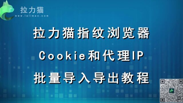 Cookie和代理IP的批量导入导出  拉力猫指纹浏览器