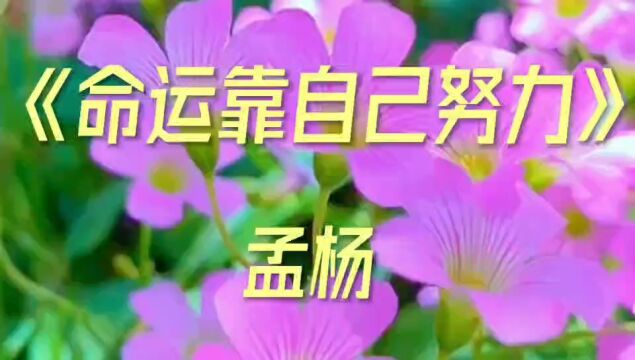 《命运靠自己努力》孟杨演唱