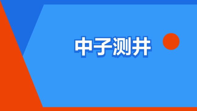 “中子测井”是什么意思?