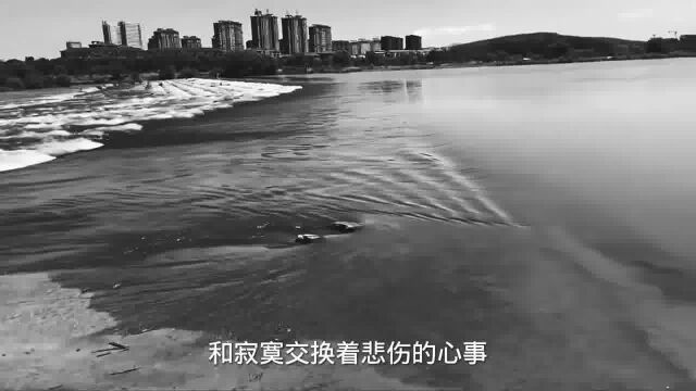 自制 #流行 #华语音乐 #歌词版音乐#网抑云