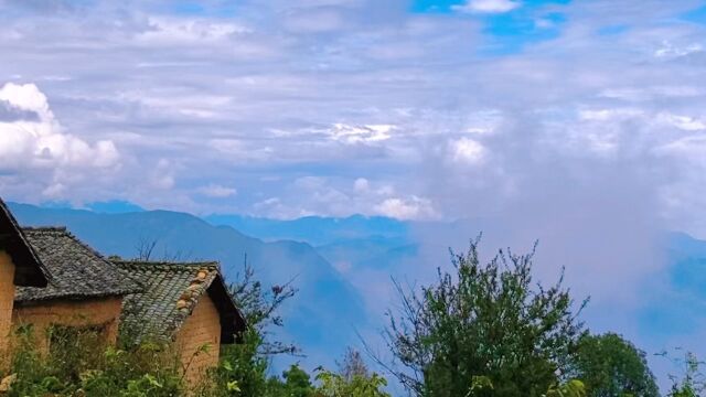 云南最原始的森林穿越高黎贡山山顶一号咖啡庄园