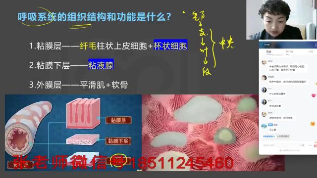 23年临床执业助理导学入门课 呼吸系统11