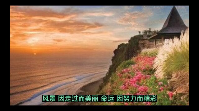 风景,因走过而美丽.命运,因努力而精彩日子,在忙忙碌碌中充实人生,在坎坷挫折中历练坚持往往是这个世上,最难做到的事因为