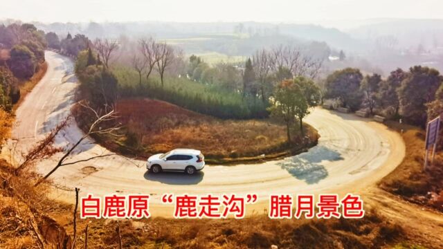 腊月十八实拍白鹿原“鹿走沟”冬日风景 #创作灵感 #美丽乡村 #农村风景 #手机摄影 #农村生活