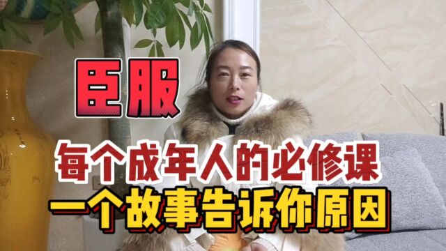 生活不容易,为什么还要学会臣服?一个故事告诉你原因