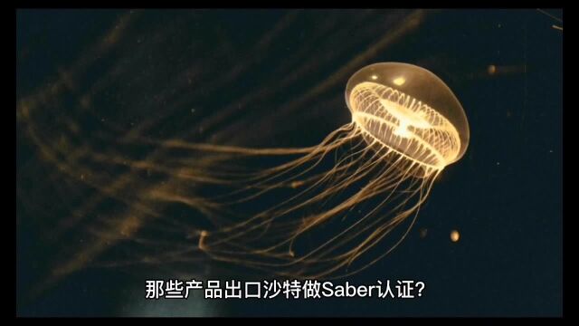 沙特SABER认证办理