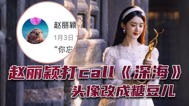 赵丽颖为电影《深海》打call,头像换成了糖豆儿