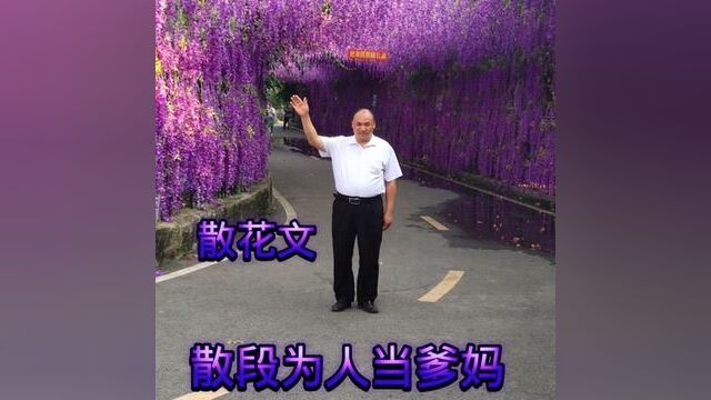 散花文:散段为人当爹妈