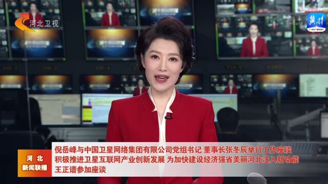 倪岳峰与中国卫星网络集团有限公司党组书记、董事长张冬辰举行工作座谈