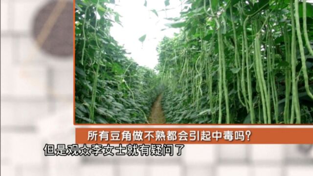 所有豆角做不熟都会引起中毒?专家解读:这两种豆类更严重