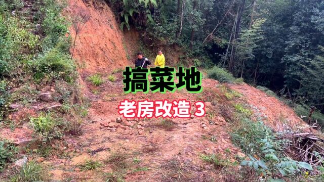 第6集→搞菜地 因厌倦了城市的高压快节奏日子,想回到老家大山过着向往生活.记录全程自己动手老房改造 #新农人计划2023 #乡村守护人