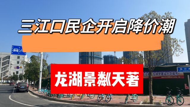 三江口的民营房企,双地铁口配套的龙湖项目,楼盘的解读和分析