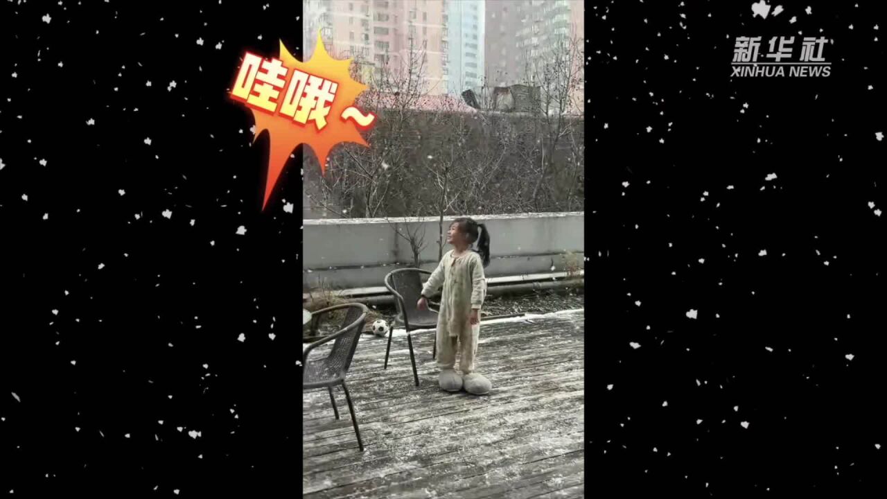 上海下雪了!朋友圈“大雪纷飞”,想看的视角这全有!