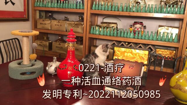 0221酒疗:一种活血通络药酒(发明专利~2022112050985)