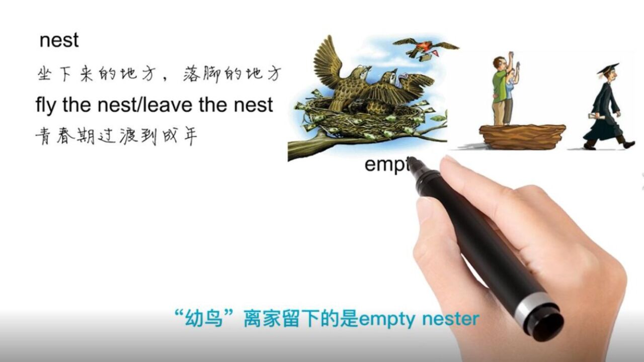 英语思维解密,为什么fly the nest表示开始独立生活,轻松学英语