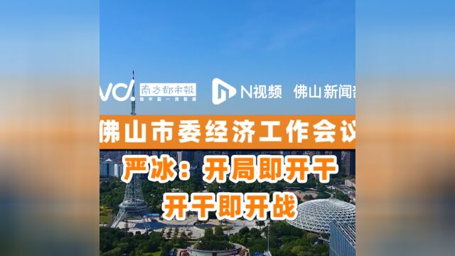 严冰:禅城开局即开干、开干即开战