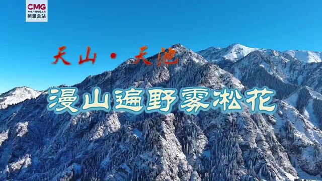 0001.中国网络电视台天山天池漫山遍野雾凇花1