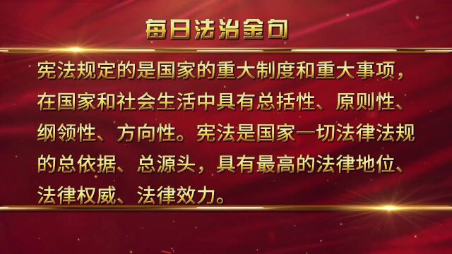 【每日法治金句】第48期