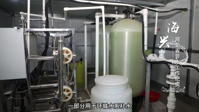 河北省节水工作纪实丨海兴县:促节水增效 建美丽海兴