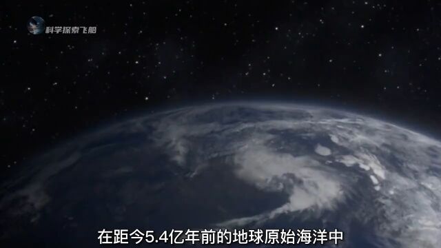 5.4亿年前的地球初代霸主奇虾,到底有多可怕?探索地球科普史前生物奇虾